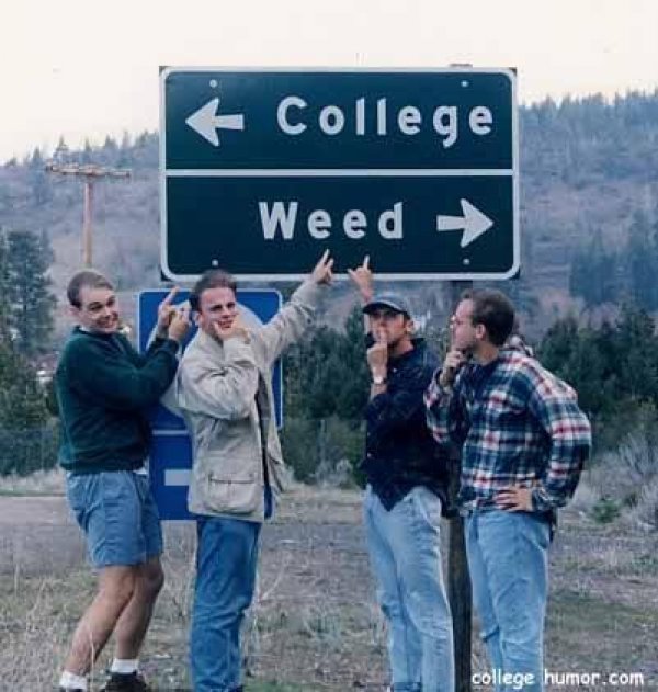 Intersection of College and Weed