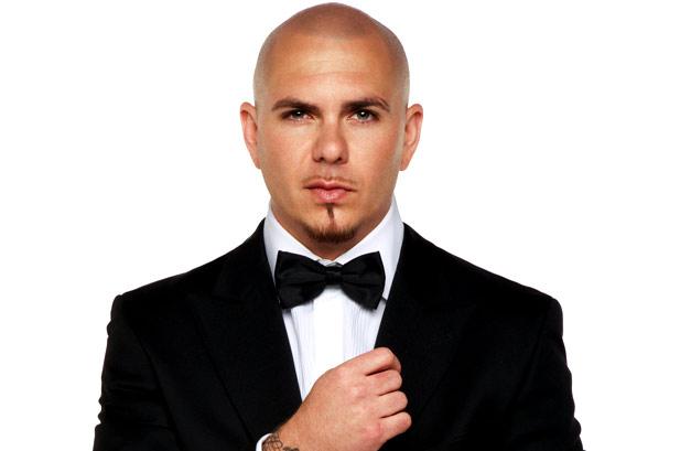 500573-pitbull_Ace-Buhr_617_409