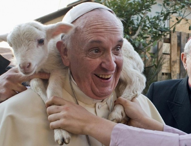 baby goat with pope