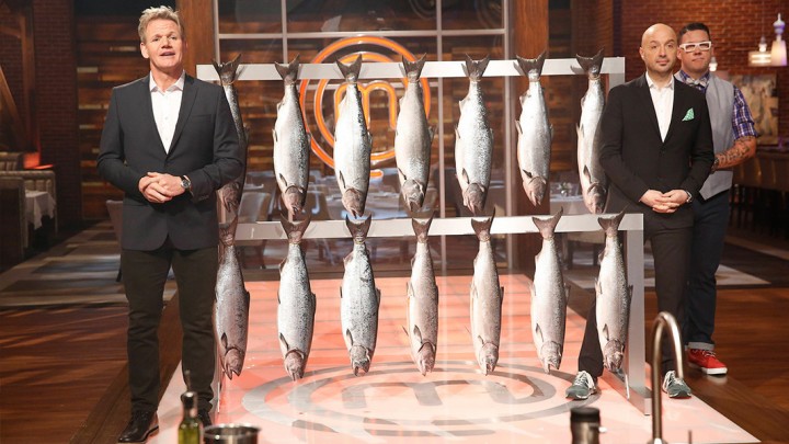 zap-masterchef-season-6-episode-9-top-13-compe-008