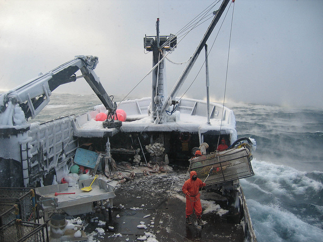 crab fishing bering sea